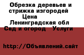 Обрезка деревьев и стрижка изгородей › Цена ­ 2 500 - Ленинградская обл. Сад и огород » Услуги   